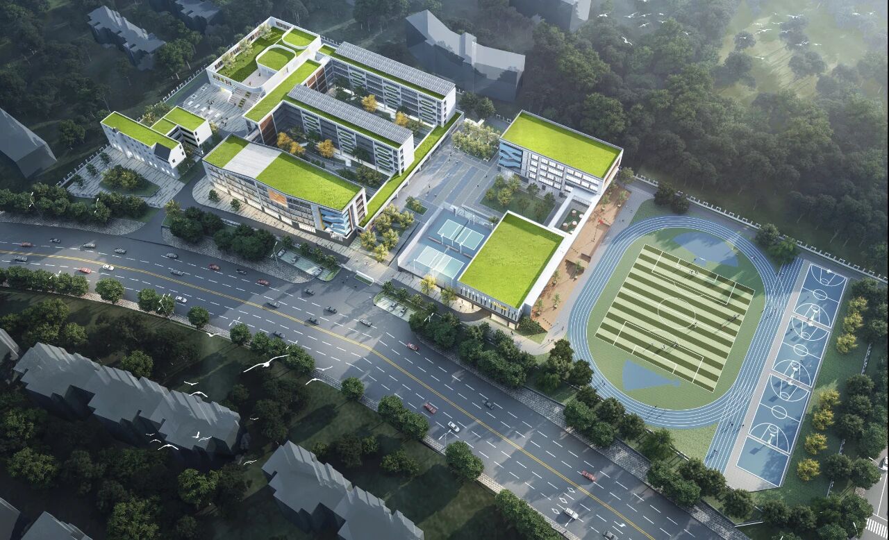 1756709540175655.jpg 8.jpg