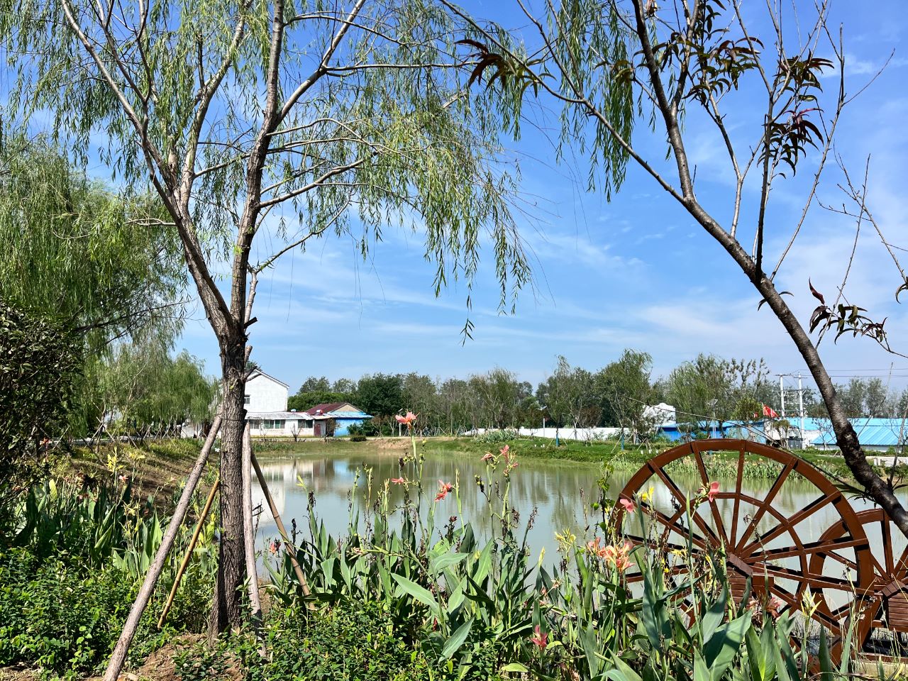 1758069581509324.jpg 8小.jpg